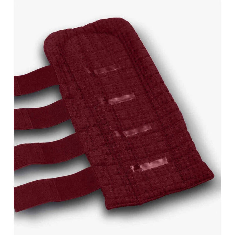 Protège-queue Pour Cheval Matelassé Gaufré à Double Verrouillage Premier Equine