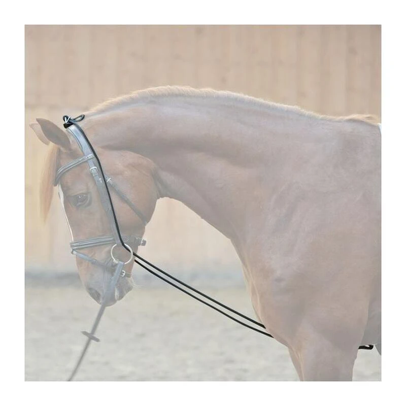 Rênes Fixes élastiques Kavalkade – Image 2