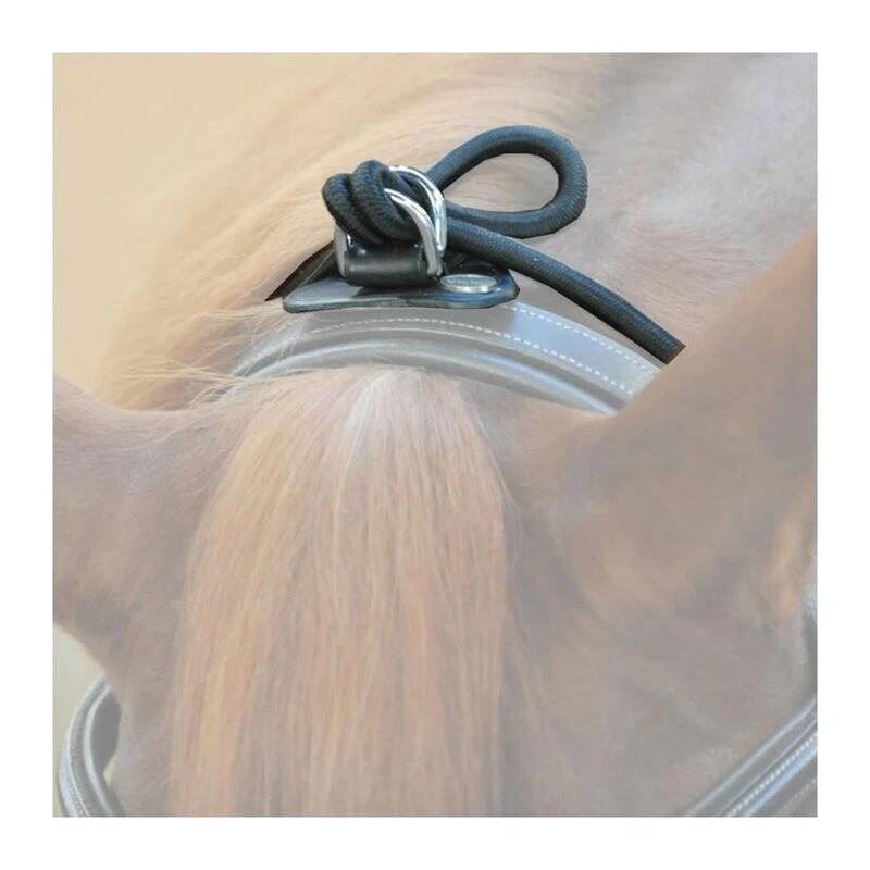 Rênes Fixes élastiques Kavalkade – Image 4