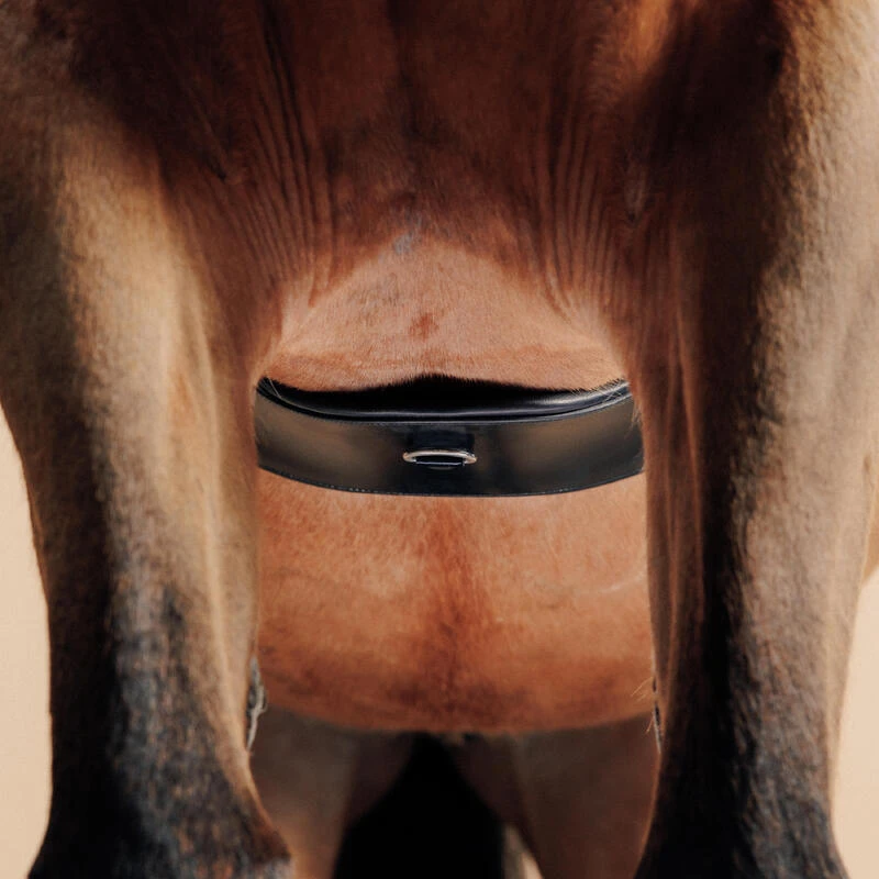 Sangle équitation Dressage En Cuir Cheval - 900 Noire – Image 4