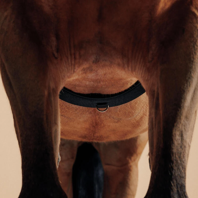 Surfaix De Travail équitation Cheval Et Poney - Noir – Image 5